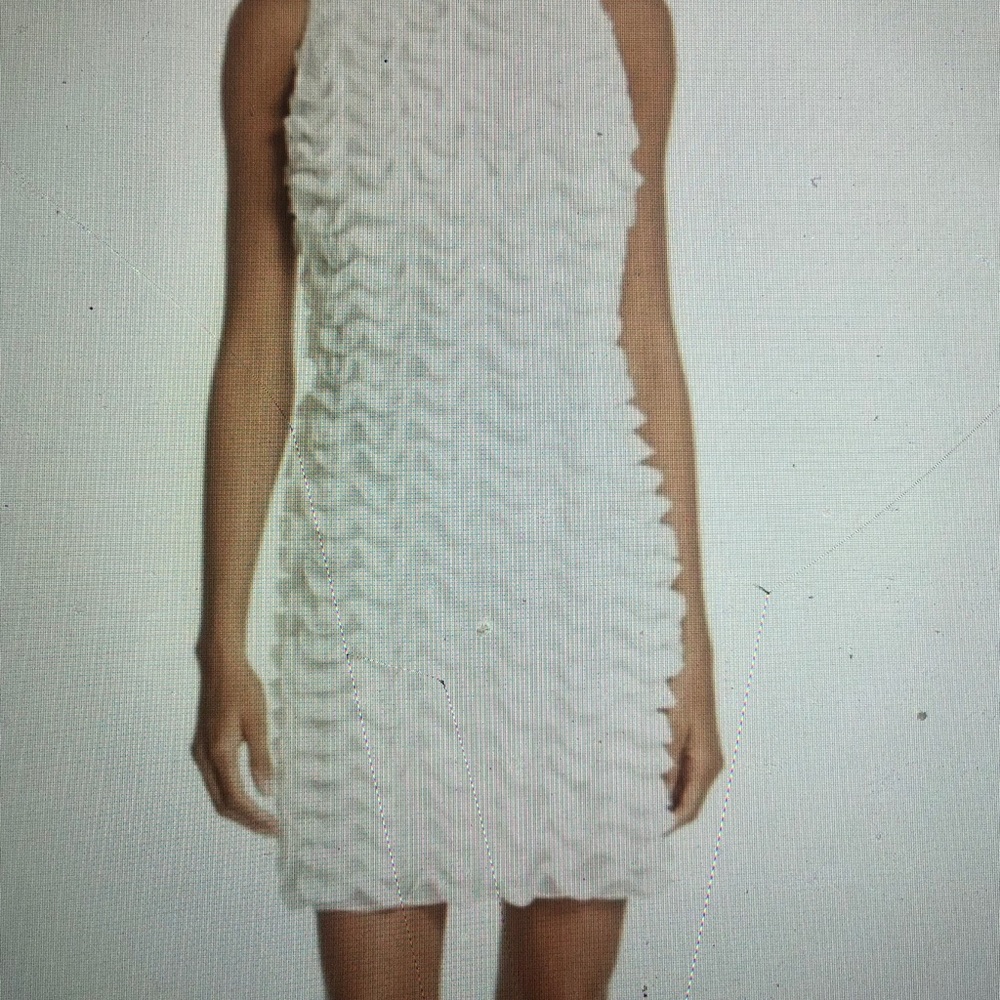 Ted Baker Serilda Ruffle Dress